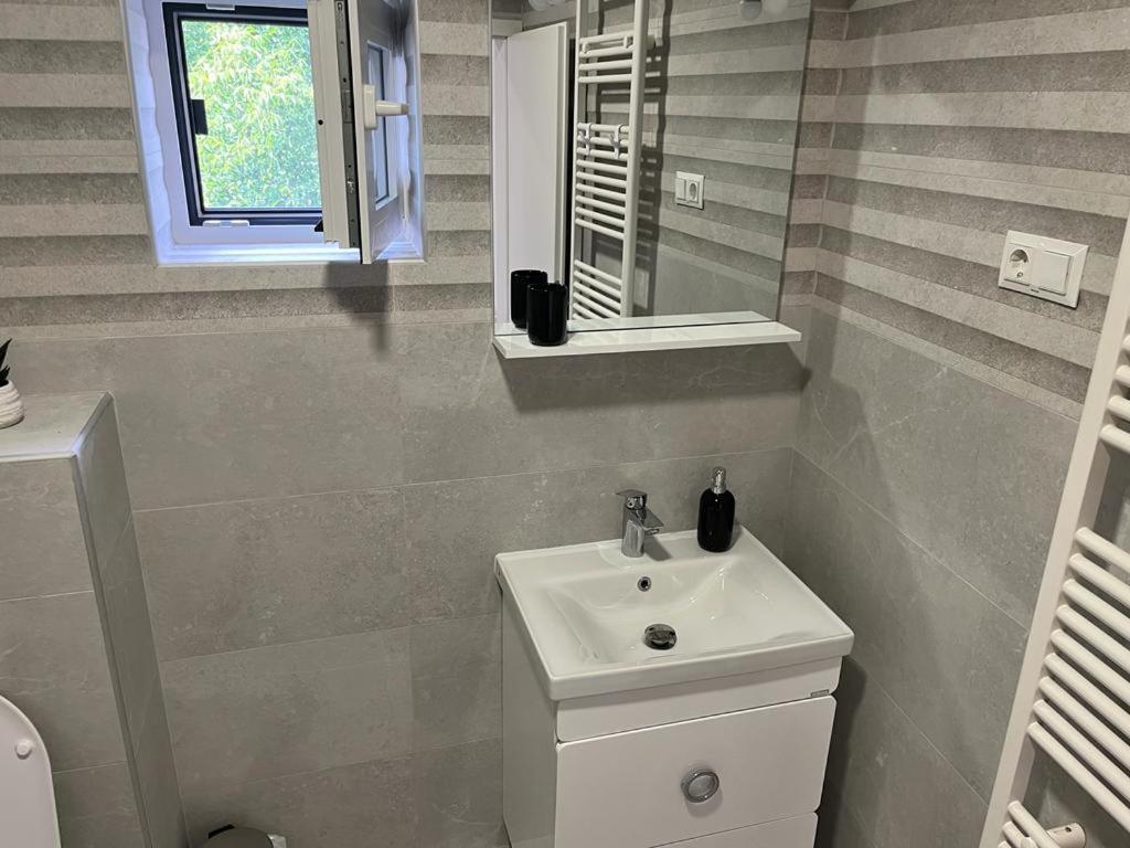 Sabina Apartaments Sfantu Gheorghe  Exterior photo