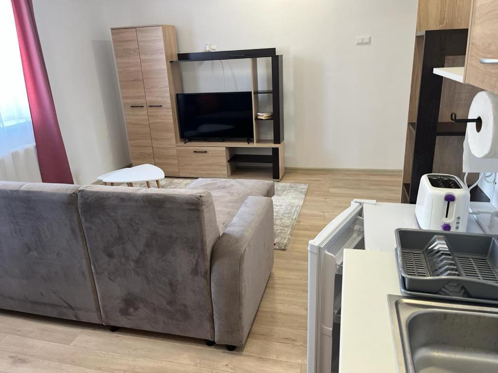 Sabina Apartaments Sfantu Gheorghe  Exterior photo
