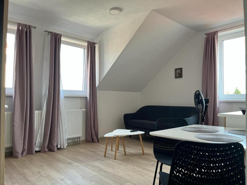 Sabina Apartaments Sfantu Gheorghe  Exterior photo