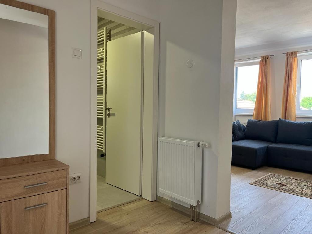 Sabina Apartaments Sfantu Gheorghe  Exterior photo