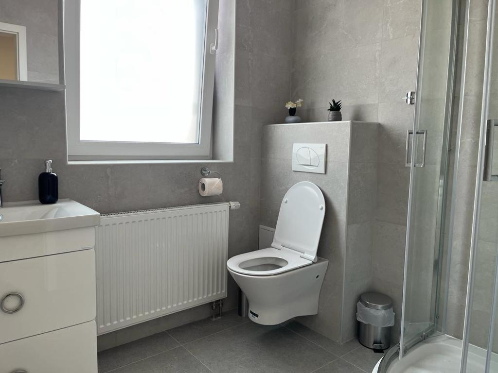 Sabina Apartaments Sfantu Gheorghe  Exterior photo